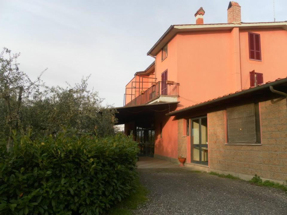 Il Contado B&B Castel Sant'Elia エクステリア 写真