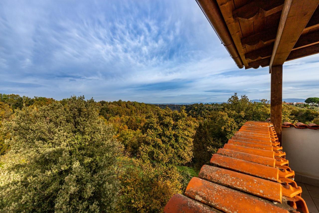 Il Contado B&B Castel Sant'Elia エクステリア 写真